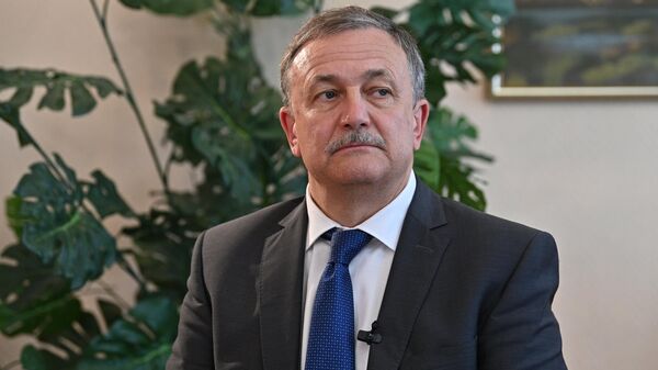 Руслан Давыдов, временно исполняющий обязанности главы Федеральной таможенной службы - Sputnik Беларусь