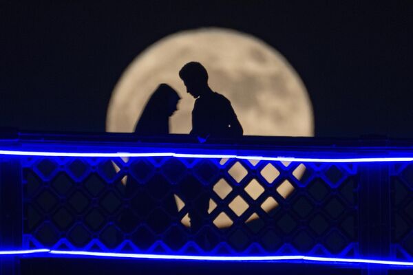 Влюбленные на мосту Аль-Шухада через реку Тигр в Багдаде, Ирак. - Sputnik Беларусь