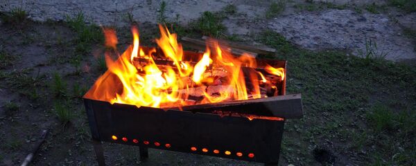 Мангал - Sputnik Беларусь