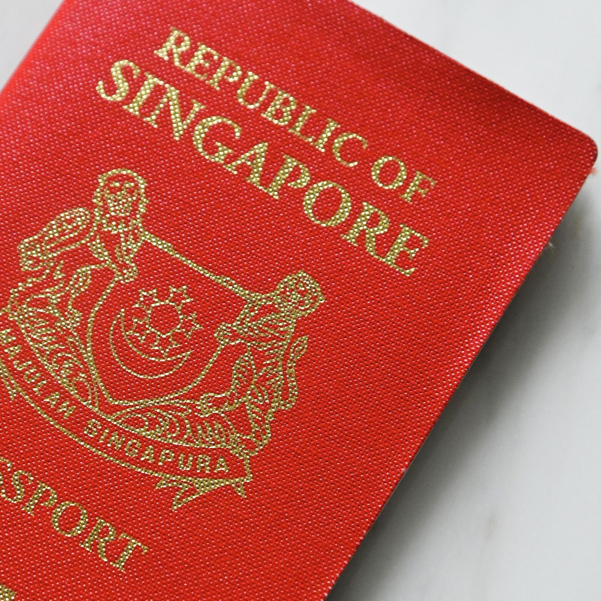 10 сильнейших паспортов. Singapore Passport.