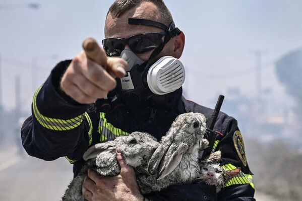 Пожарный со спасенной  из огня кошкой и двумя кроликами. На Родосе сгорело множество домов. - Sputnik Беларусь