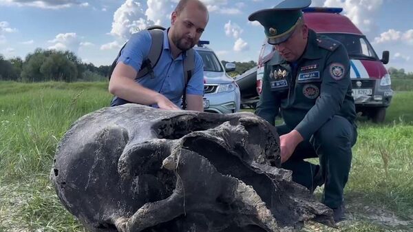 Останки мамонта нашли в Гомельской области - Sputnik Беларусь