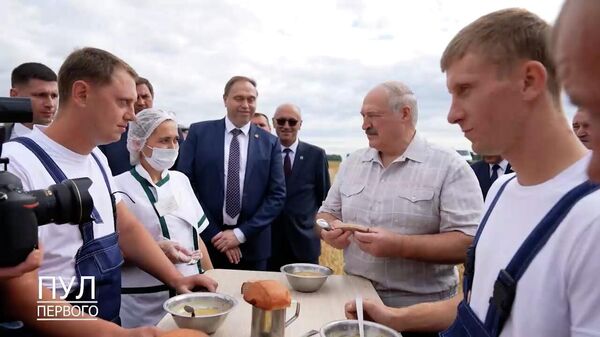 Лукашенко оценил гороховый суп комбайнеров – видео - Sputnik Беларусь
