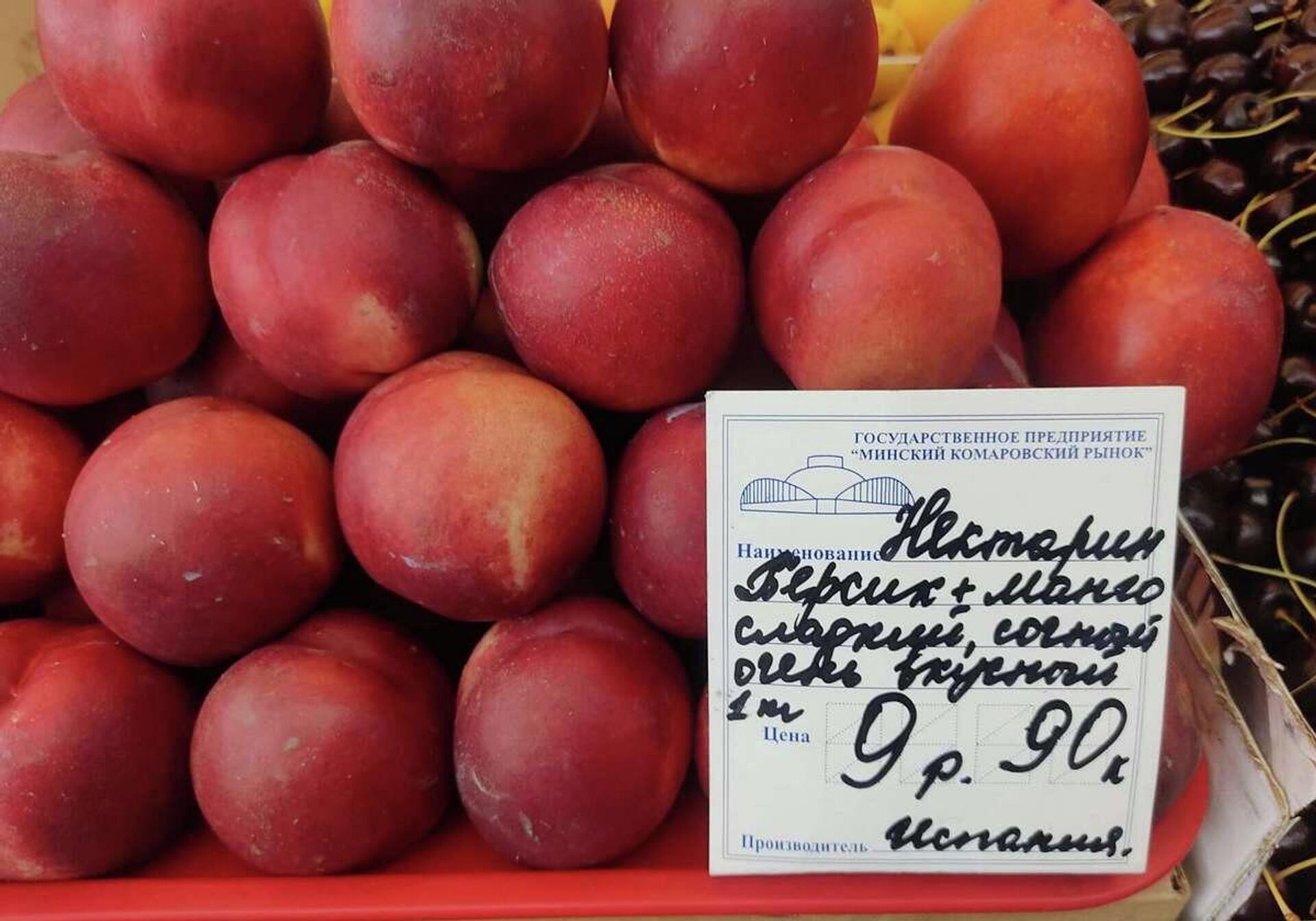 Нектарины в Беларусь привезли из Испании Нектарины в Беларусь привезли из Испании - Sputnik Беларусь, 1920, 04.08.2023