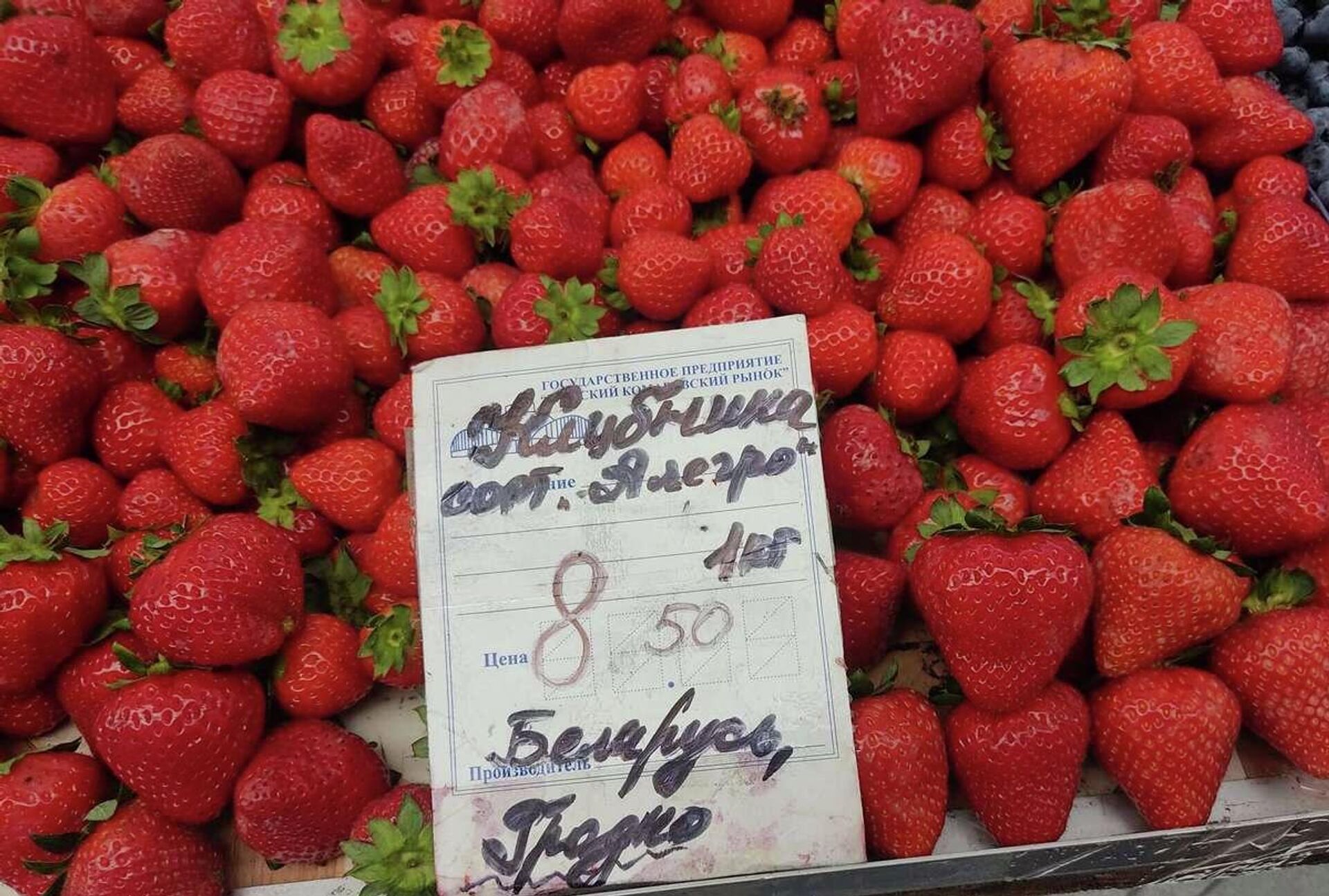 На рынке все еще есть клубника На рынке все еще есть клубника - Sputnik Беларусь, 1920, 04.08.2023