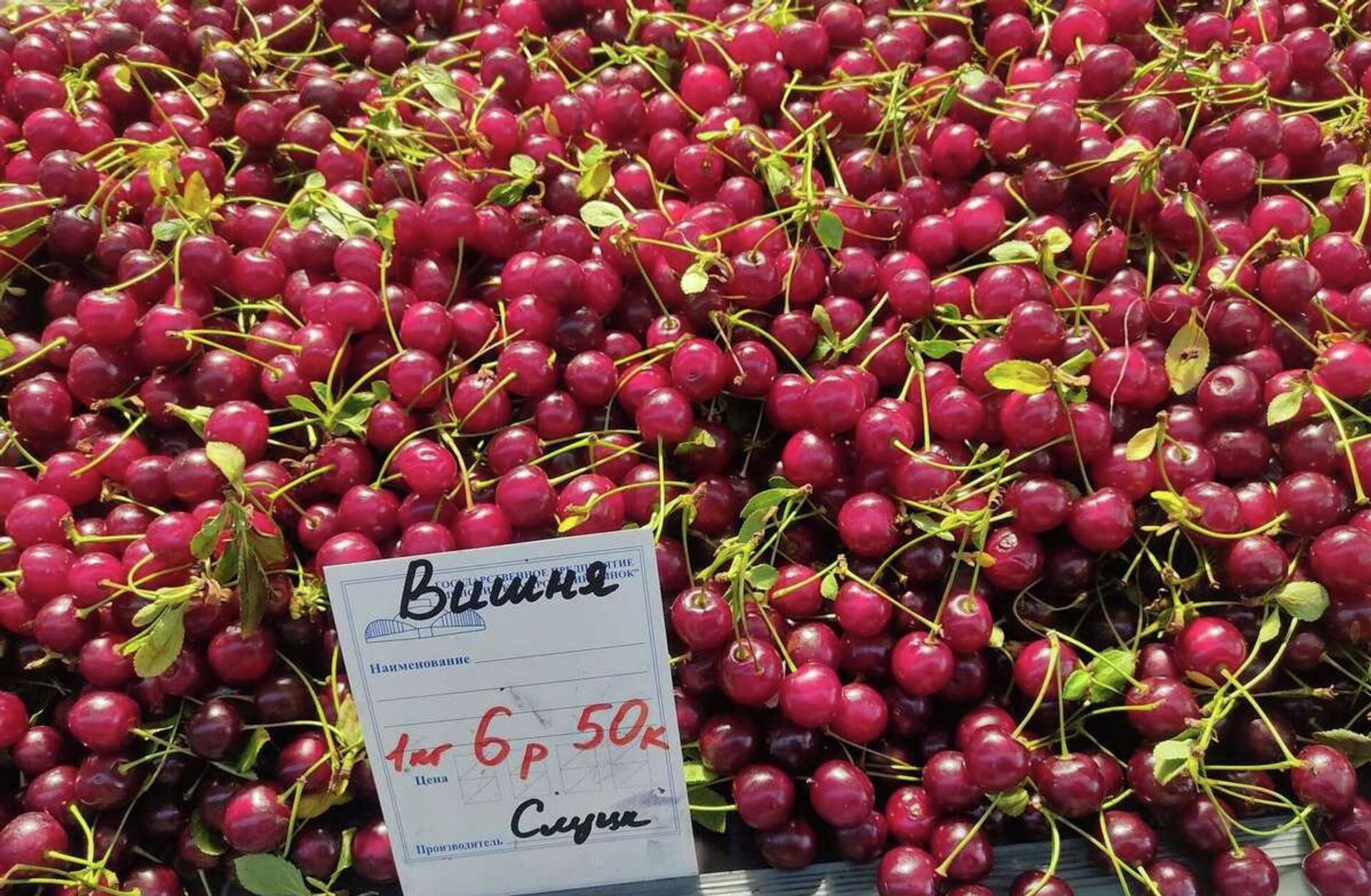 Белорусская вишня обойдется в 6,50 за килограмм Белорусская вишня обойдется в 6,50 за килограмм - Sputnik Беларусь, 1920, 04.08.2023