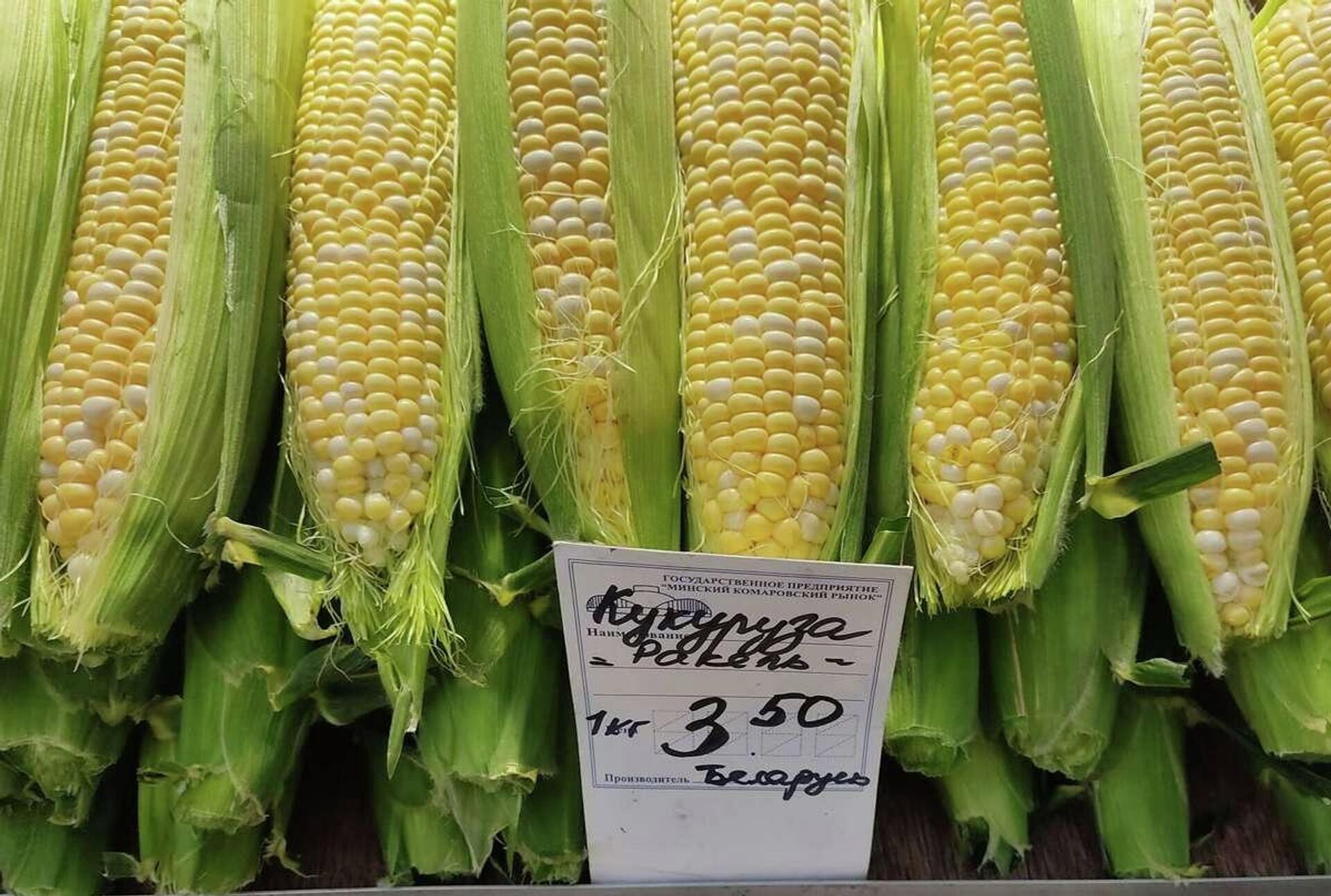 Любители кукурузы заплатят 3,5 рублей за килограмм Любители кукурузы заплатят 3,5 рублей за килограмм - Sputnik Беларусь, 1920, 04.08.2023