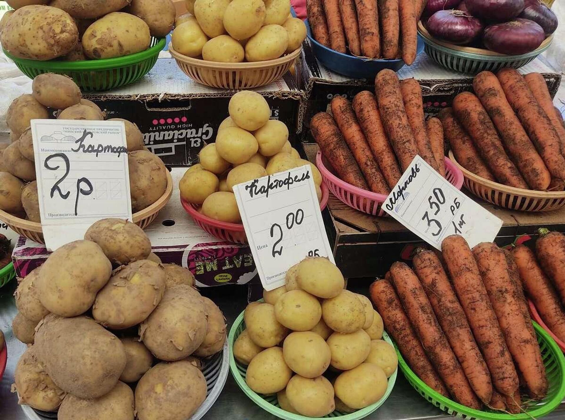 Килограмм белорусской картошки можно купить за 2 рубля Килограмм белорусской картошки можно купить за 2 рубля - Sputnik Беларусь, 1920, 04.08.2023