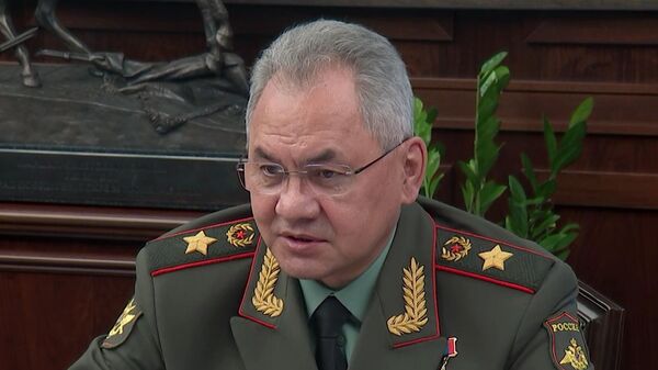 Министр обороны РФ Сергей Шойгу  - Sputnik Беларусь