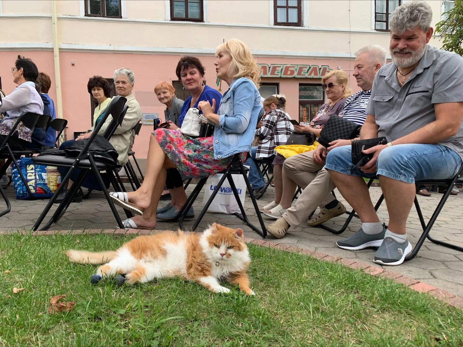 Кот с титановыми лапками приехал на благотворительную акцию в Гродно - Sputnik Беларусь, 1920, 10.08.2023