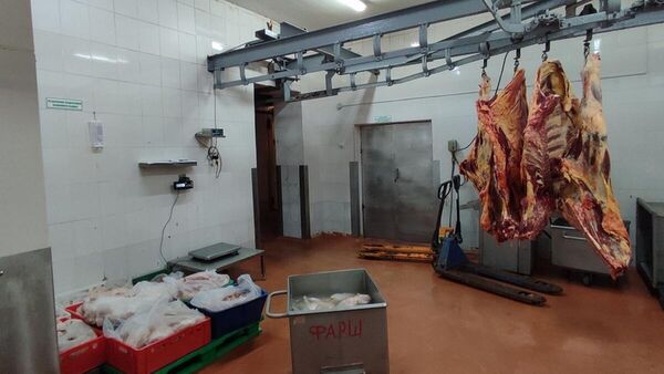 Хищение мяса в особо крупном размере на мясоперерабатывающем предприятии Ивановского района - Sputnik Беларусь