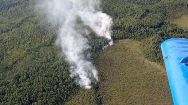 Лесной пожар тушат на границе Минской и Могилевской областей - Sputnik Беларусь