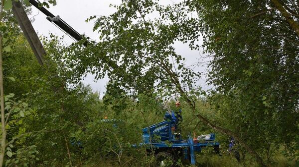Брестские энергетики восстановили электроснабжение в населенных пунктах, пострадавших от непогоды - Sputnik Беларусь
