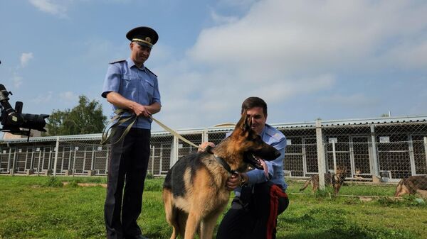 В Витебске нашли новый дом для собаки, над которой издевалась хозяйка ― видео - Sputnik Беларусь