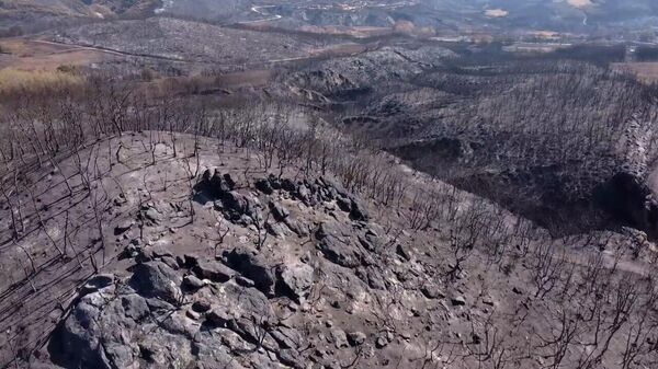 Греция на пепелище: Эврос после сильнейших лесных пожаров ― видео с дрона - Sputnik Беларусь