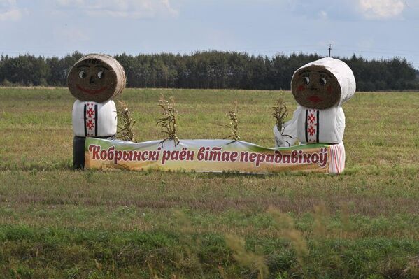 Предчувствие Дожинок: арт-объекты из соломы на полях – фото - Sputnik Беларусь