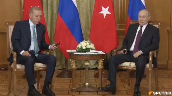 Путин и Эрдоган проводят переговоры в Сочи - трансляция - Sputnik Беларусь