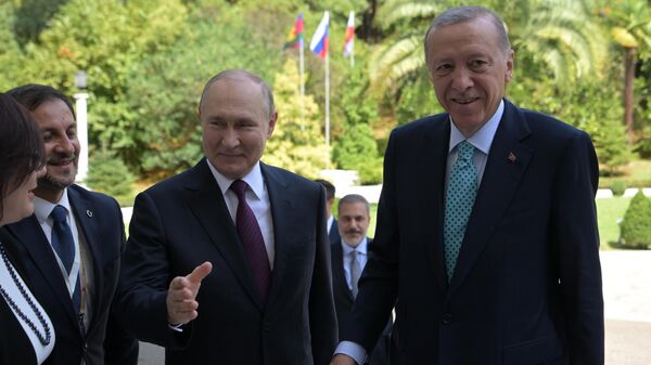 Президент РФ В. Путин провел переговоры с президентом Турции Р. Т. Эрдоганом - Sputnik Беларусь