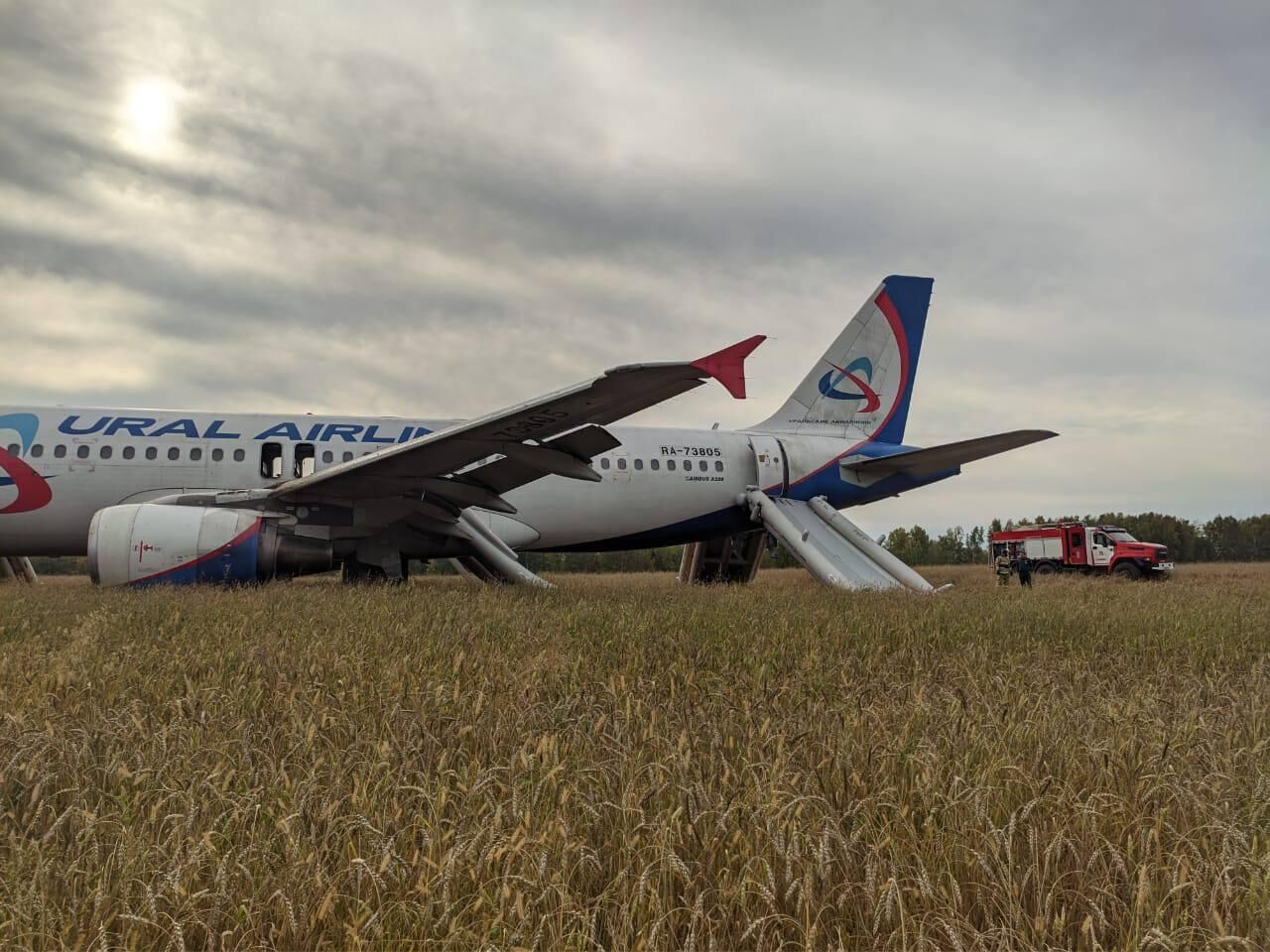 Пассажирский самолет вынужденно сел в поле в Новосибирской области -  12.09.2023, Sputnik Беларусь