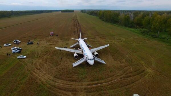 Пассажирский самолет после посадки в пшеничном поле ― видео с дрона - Sputnik Беларусь