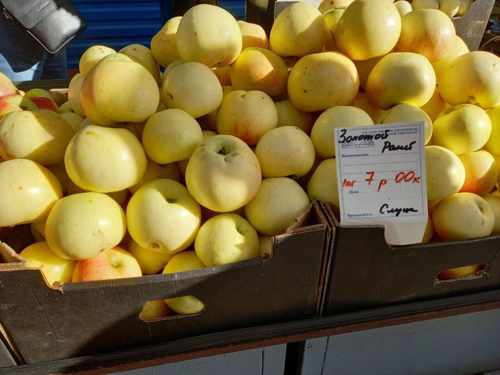 Цены на яблоки на Комаровском рынке - Sputnik Беларусь, 1920, 12.09.2023