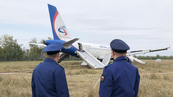 Пассажирский самолет совершил вынужденную посадку в Новосибирской области  - Sputnik Беларусь