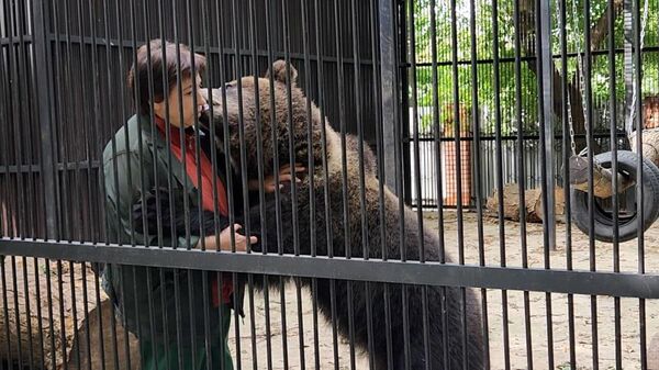 Видео не для слабонервных: директор зоопарка в Витебске в обнимку с медведями - Sputnik Беларусь