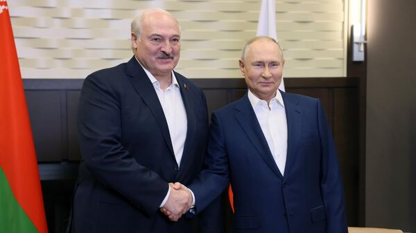 Встреча президента РФ В. Путина с президентом Беларуси А. Лукашенко - Sputnik Беларусь