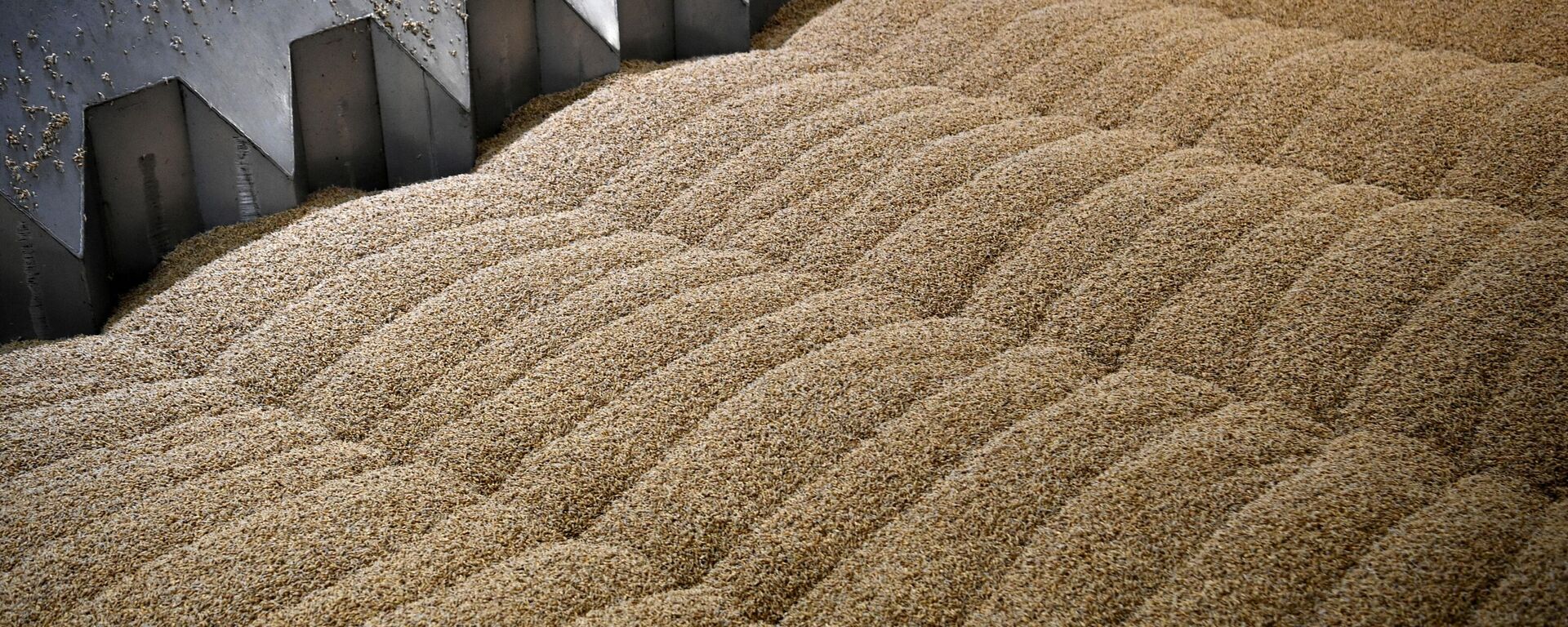 Збожжа, архіўнае фота - Sputnik Беларусь, 1920, 18.03.2026