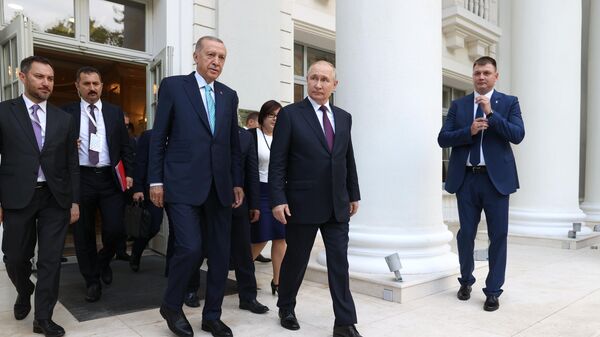 Президент РФ В. Путин провел переговоры с президентом Турции Р. Т. Эрдоганом - Sputnik Беларусь