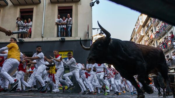 Bous al carrer (Быки на улице) – испанская традиция с участием быков, в рамках которой животных выпускают на улицы города за несколько часов до крриды - Sputnik Беларусь
