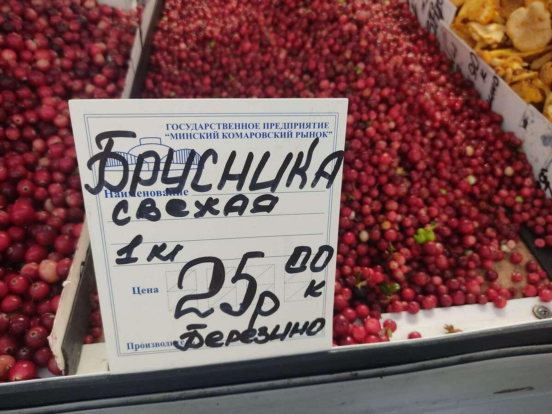 Белорусская брусника стала самой дорогой ягодой на рынке - Sputnik Беларусь, 1920, 29.09.2023