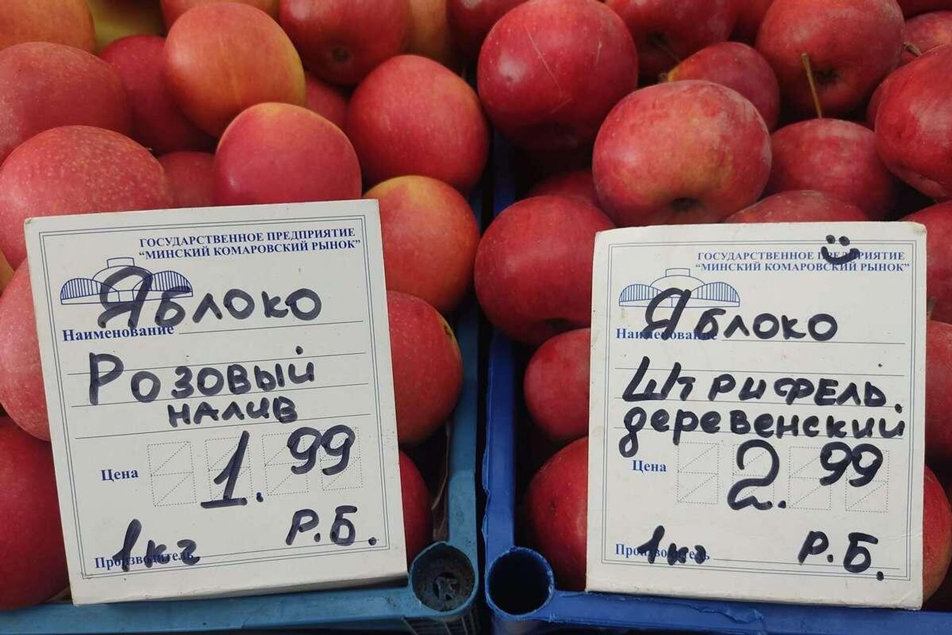 Яблоки можно купить по 2 рублей за килограмм - Sputnik Беларусь, 1920, 29.09.2023