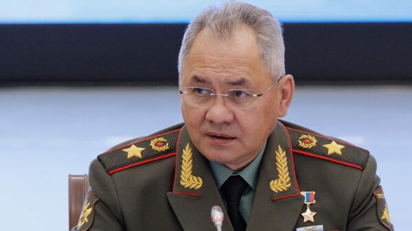 Шойгу: у Генштаба РФ нет планов по дополнительной мобилизации — видео - Sputnik Беларусь