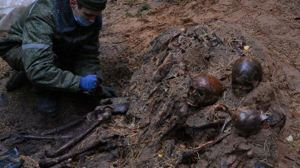 Тысячи жертв: под Минском нашли более 10 ям-могил времен войны - Sputnik Беларусь