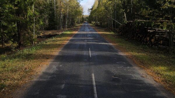 Лес - Sputnik Беларусь