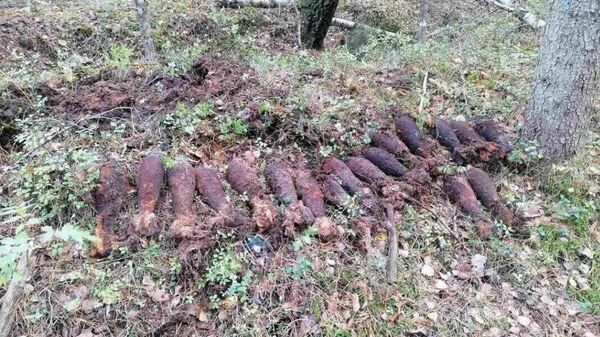Более сотни минометных мин обнаружено в Лиозненском районе - Sputnik Беларусь
