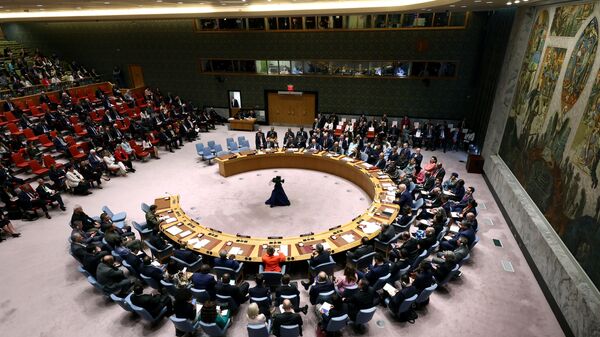 Заседание Совета Безопасности ООН в штаб-квартире ООН в Нью-Йорке, архивное фото - Sputnik Беларусь