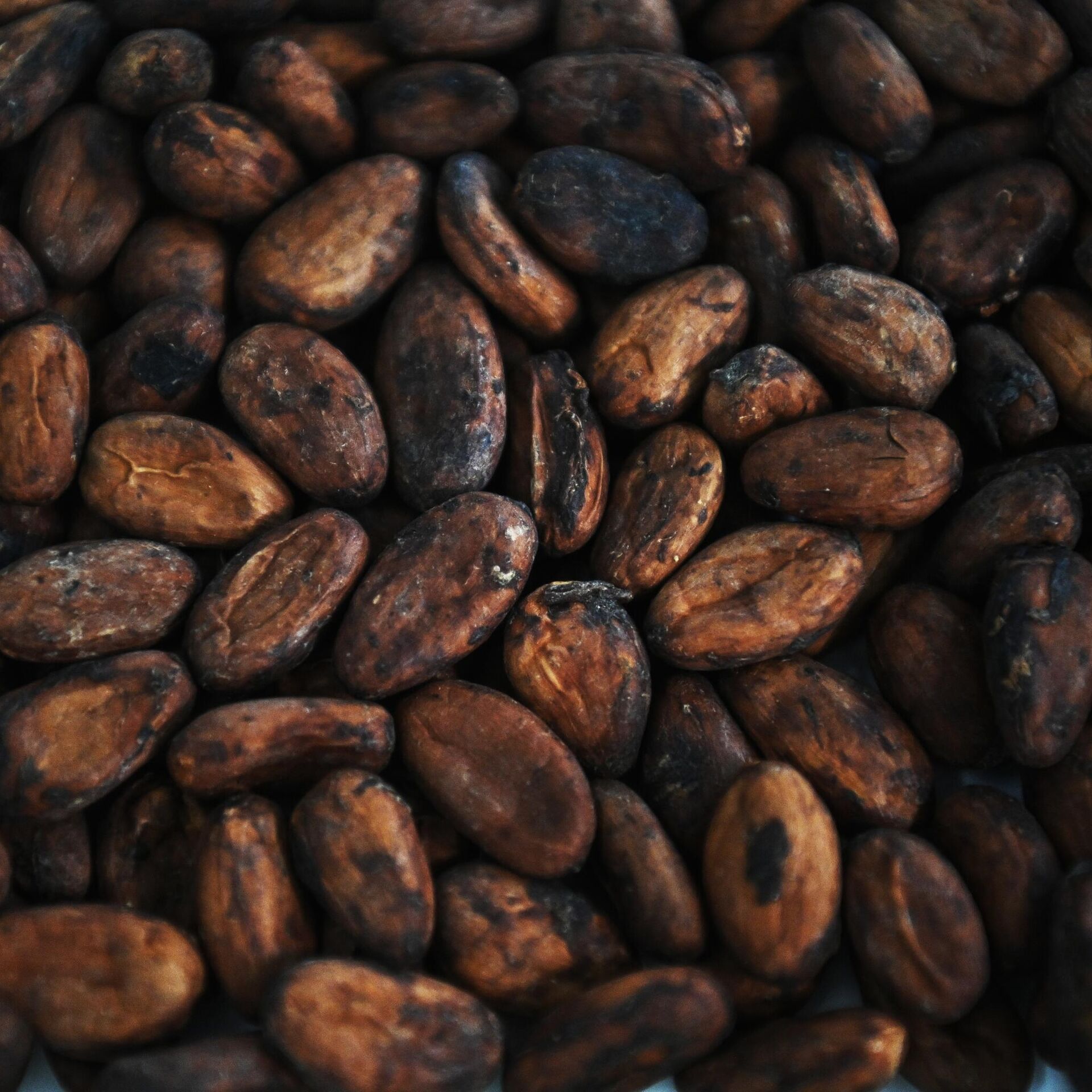 Цены на какао бобы