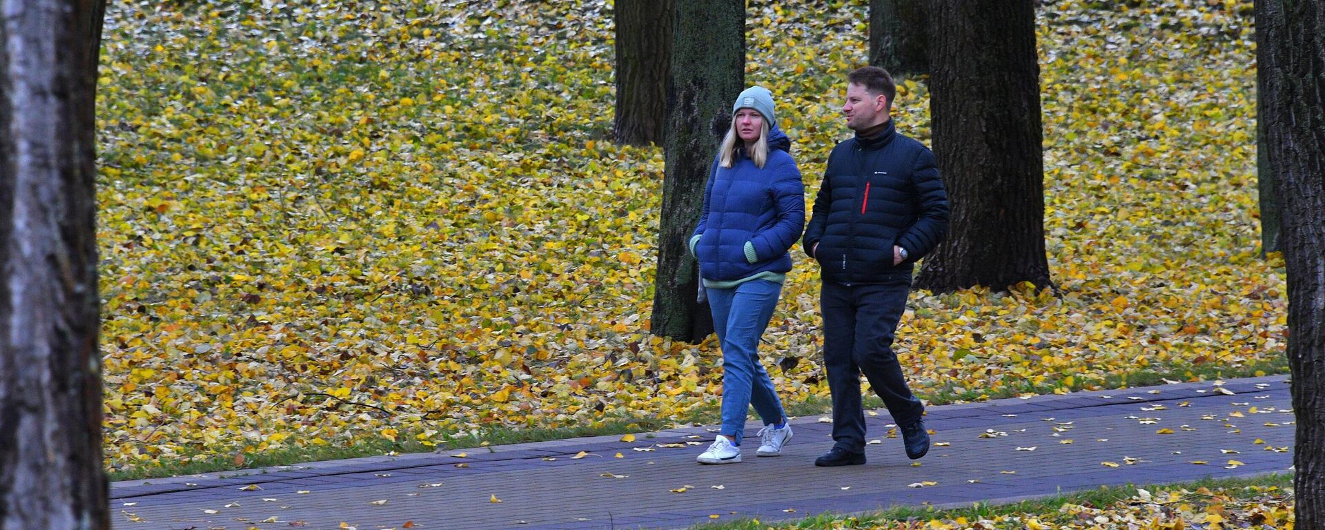 Мінчане гуляюць у парку - Sputnik Беларусь, 1920, 23.10.2025