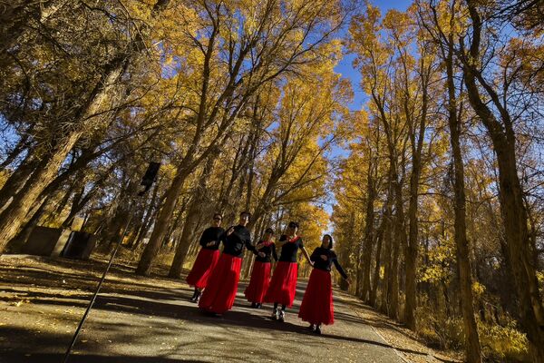 Женщины танцуют в уезде Цзиньта, провинция Ганьсу на северо-западе Китая, вдоль дороги, окруженной евфратским тополем (также известен как туранга евфратская или тополь закавказский). Это редкий, древний и исчезающий вид деревьев, растущий только в пустыне.  - Sputnik Беларусь
