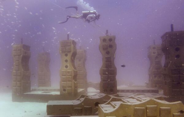 Мемориальный риф Нептуна был открыт в 2007 году. Это подводный колумбарий, крупнейший в мире искусственный риф. Он покрывает более 60 000 квадратных метров дна океана на глубине около 12 метров. Находится в 5 километрах к востоку от Ки Бискейн в Майами (штат Флорида).Место под будущее захоронение может приобрести себе каждый желающий. В большинстве случаев захороненными в морских глубинах хотят быть дайверы и люди, просто влюбленные в море. Это кладбище рассчитано на 125 000 покойных. - Sputnik Беларусь