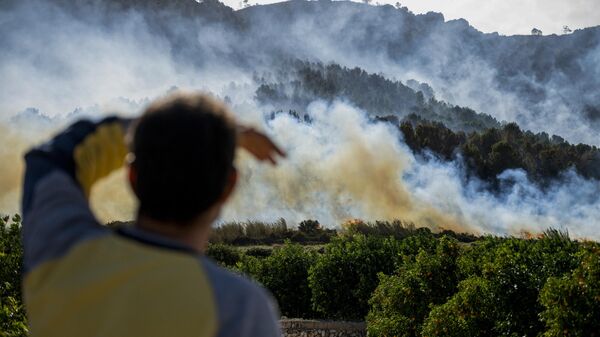 Житель деревни наблюдает за распространением лесного пожара в восточной части Пальма-де-Гандии в Валенсии, Испания - Sputnik Беларусь