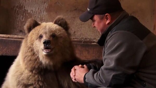 Россиянин нашел и вылечил сбитого на трассе медвежонка (видео) - Sputnik Беларусь