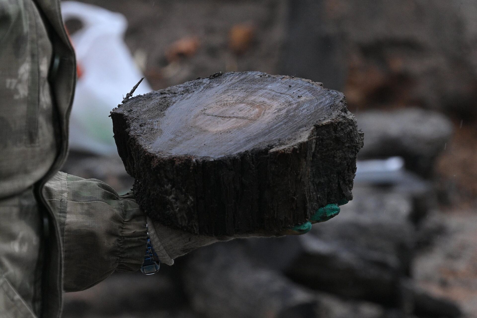 Консервация раскопок на Менке на зиму - Sputnik Беларусь, 1920, 15.11.2023