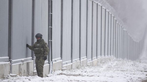 Польский пограничник стоит рядом с пограничной стеной в Номиках, Польша, архивное фото - Sputnik Беларусь