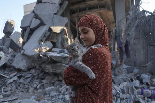 Палестинская девочка с кошкой в Рафахе на юге сектора Газа. - Sputnik Беларусь