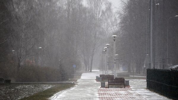 Снег в Минске - Sputnik Беларусь