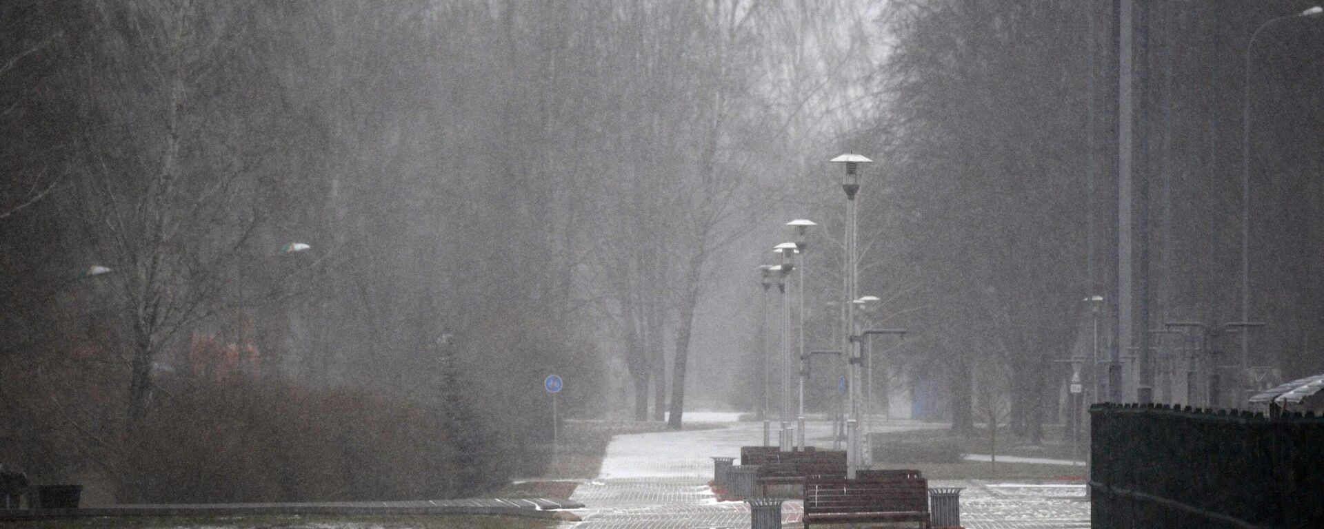 Снег в Минске - Sputnik Беларусь, 1920, 22.11.2025