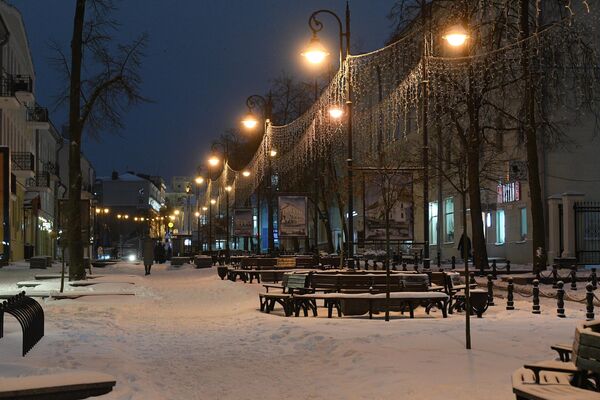 К вечеру метель прекратилась, потеплело...  И снег начал таять. - Sputnik Беларусь